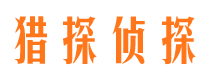 高安侦探